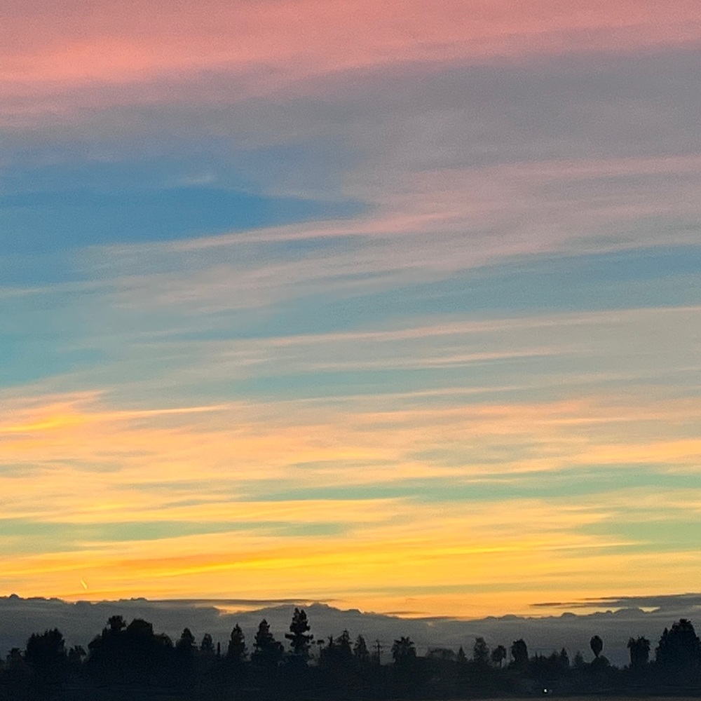 Meet your Posher, Taran